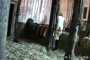 Lady Sonia acts as the peeping tom at the stables