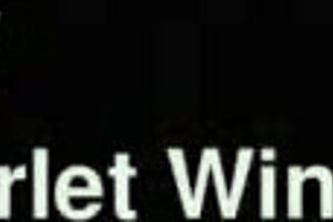 Blonde Thick Teacher Inserts Black Inflatable Dildo Into Her Tight Pussy