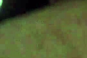 Jersey City Teacher Milf Miss My Dick?