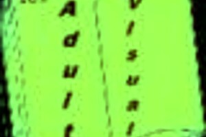 a wife and stepmother 239