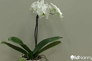 Lacey Starr's Threesome