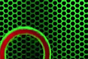 i got my pussy ate and fucked by rome major