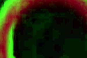 I ride dat massive cock, bbw style!