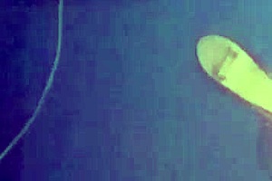 Intense Fucking And Smoking With Mexican Prostitute Milf