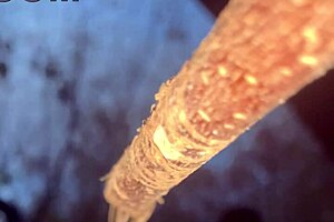 Having hardcore creampie sex with a cute witch bent over in the woods!