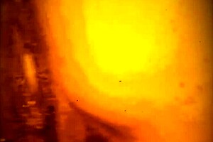 Delicious dick and pussy licking, but ass sucking is my favorite