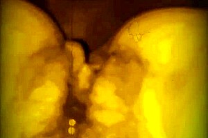 Delicious dick and pussy licking, but ass sucking is my favorite