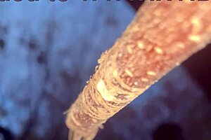 Having hardcore creampie sex with a cute witch bent over in the woods!