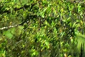 Denise Klarskov is 18 years old