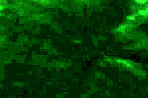 this ebony milf has a hairy phat pussy