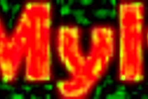 In every dimensions our family is messed up