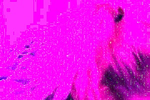 Does your wife give naughty blowjobs like this milf blonde gagging handjob cock couple slut