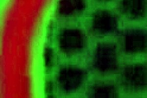 sexy sydnee capri rides rome major's big cock with her bouncy ass and tits. what an italian beauty in action.