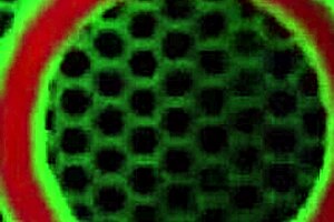 Julia Ann Takes Glass Dildo Deep