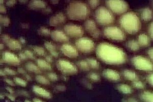 Hot Milf Seduces Stepson