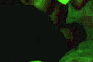 creampie for mrs lala's big ass close up 😏 her ebony curves get filled with cum