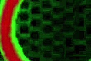 Rome Major BBC interracial pounds phat ass curvaceous milf 🍑🔥