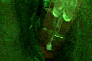 i love fuckin my self with that dildo close up