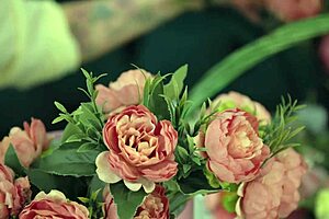 Sucked Off a Flower Buyer and Got a Squirt Afterwards in Teasing Cumshot Action