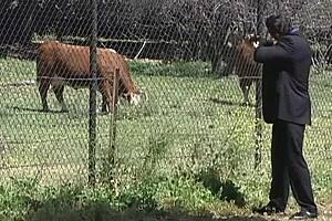 Slutty blonde gets her asshole fucked hard in doggystyle. She moans while taking the monster cock deep.