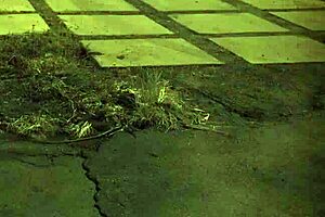 Step mom boldly punishes comrade boss with desperate domination tactics