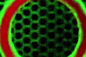 I feel so good as Sara Jay licks Richelle Ryan's clit during finger banging