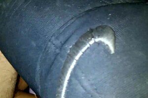 Someone gives me a nice oral treat