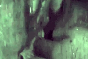 i discovered my secret life with vintage granny fanny through blowjob and hairy fucking sessions