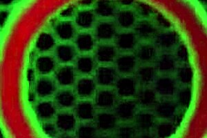 wow, big boobed blonde vicky vette teases her big clit and pussy lips while masturbating to orgasm with a dildo