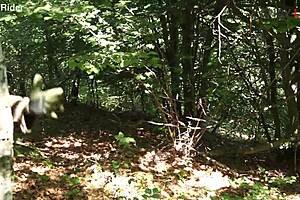 Shameless Bastard Gets Facial from Redhead in Outdoor Blowjob