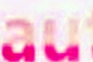 What Happens When Licking Lesbians Go Wild In Nature?