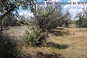 savannah vixen explores outdoor mature amateur adventures