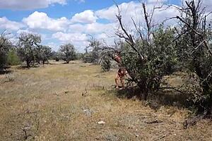 savannah vixen explores outdoor mature amateur adventures