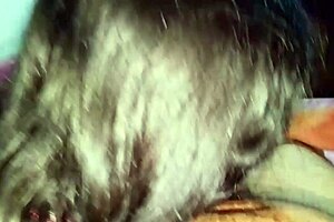 mi pastora evangelica rides cock like a pro and gives the best blowjobs ever