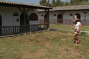 Hey Sandra Romain, let's get to that outdoor fucking right now.