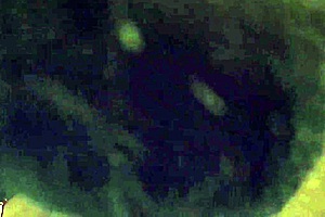 In the bedroom with a little 18+ pinky pig slut getting fucked by Aixmen French big dick 😈🍆