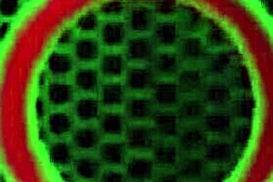 oh gosh, i feel so thrilled as rome major sprays his jizz on billie gene's face after that intense bj with big tits group action and deepthroat