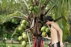 a small 18+ but delicious outdoor blowjob!