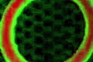 Fit King Noire fucks cougar Sara Jays mature pussy with big black cock?