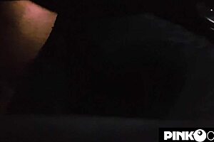 what's up with amandha fox's wild night masturbating in the car?