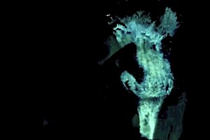 Dark Lantern Entertainment presents a collection of vintage porn spanning two centuries.