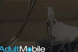 lauren phillips sucks stepson dante colle's cock and gets pounded