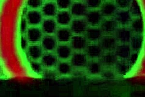 Sultry Latina Gabby Quinteros feels intense desire while teasing with tits and ass