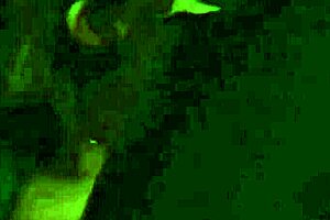 i'm the fisherman in season four exploring adventures