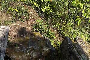 big ass girl takes cock at the viewpoint - so risky public sex