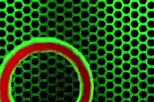 pale lesbians lily cade dive into big tits milf anal with dildo and clit play 😏🍑