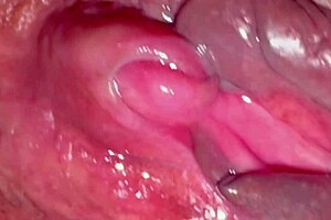 Amateur pink pussy felt fresh excitement 237 days after losing virginity in close-up wet action.