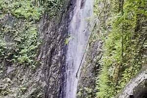 Monika Fox in pink top and yellow shorts, walking through jungle and waterfalls, feeling free.