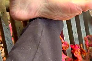 nice ride on a sunny day with european friends and family sharing laughs