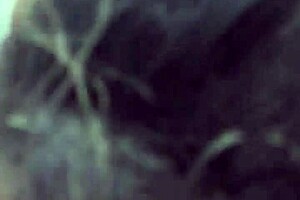 Whoa, these chupadas are totally delicious for 2024!